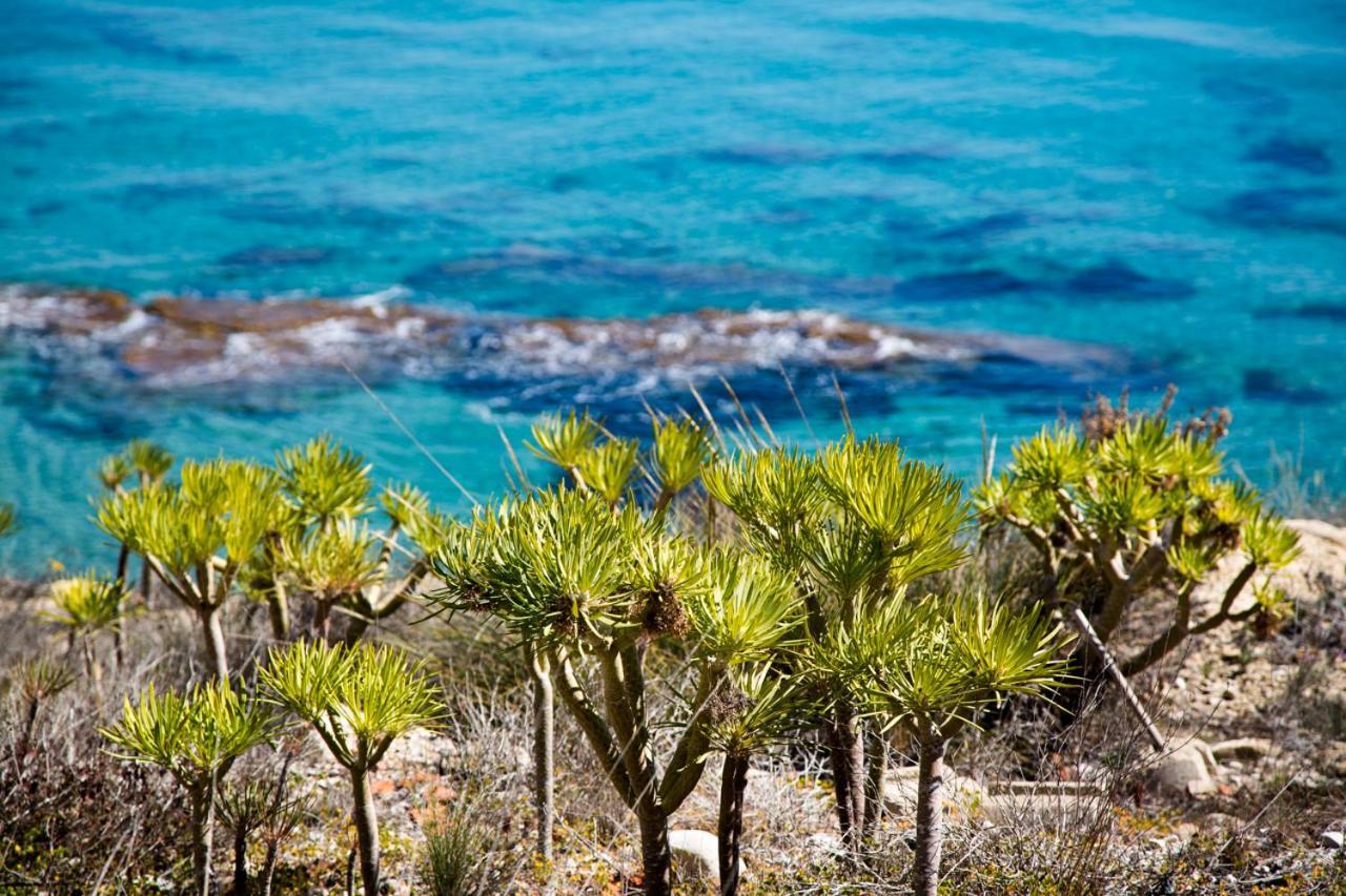 Calanuza Villa El Campello Exteriör bild